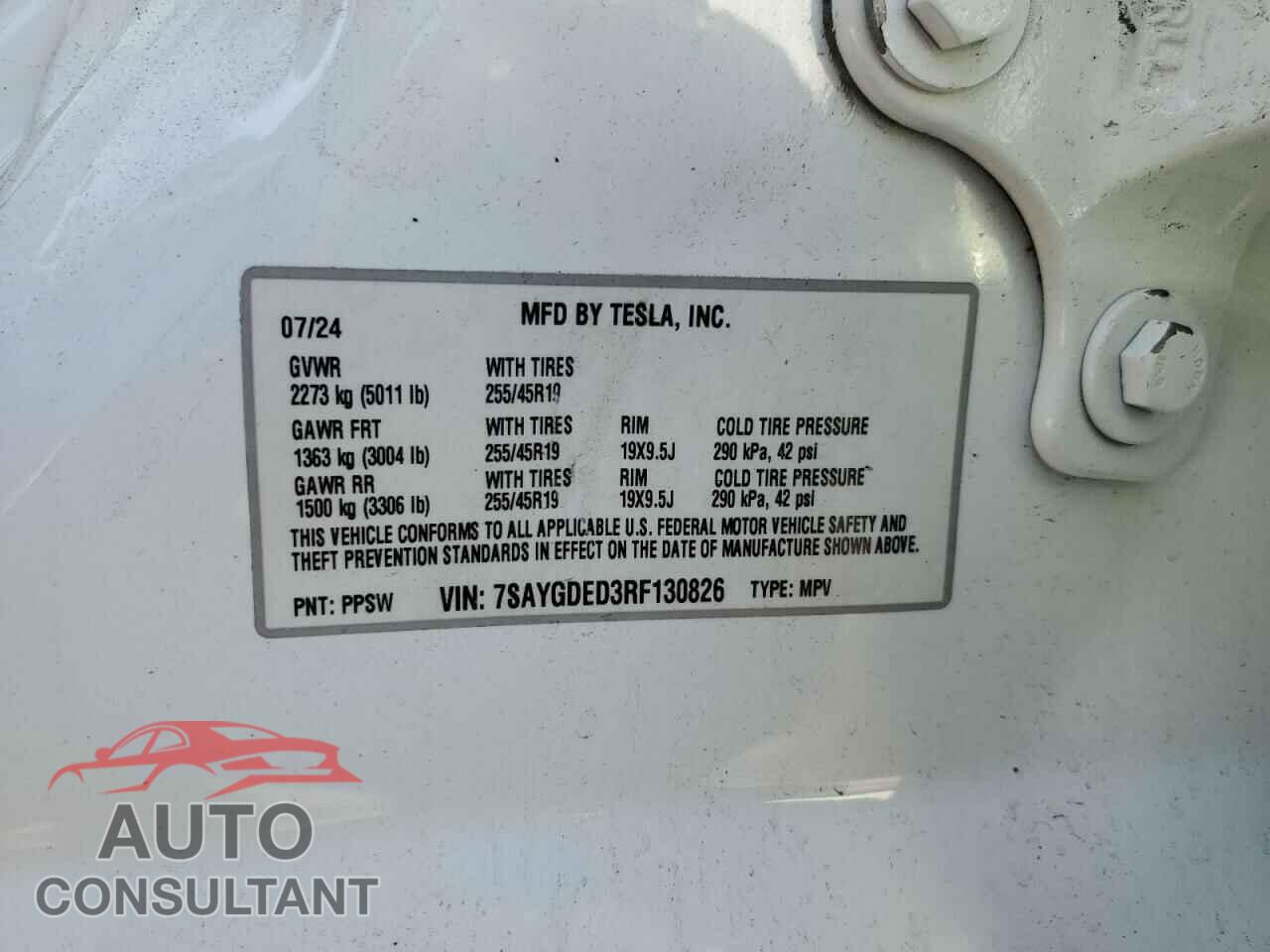 TESLA MODEL Y 2024 - 7SAYGDED3RF130826