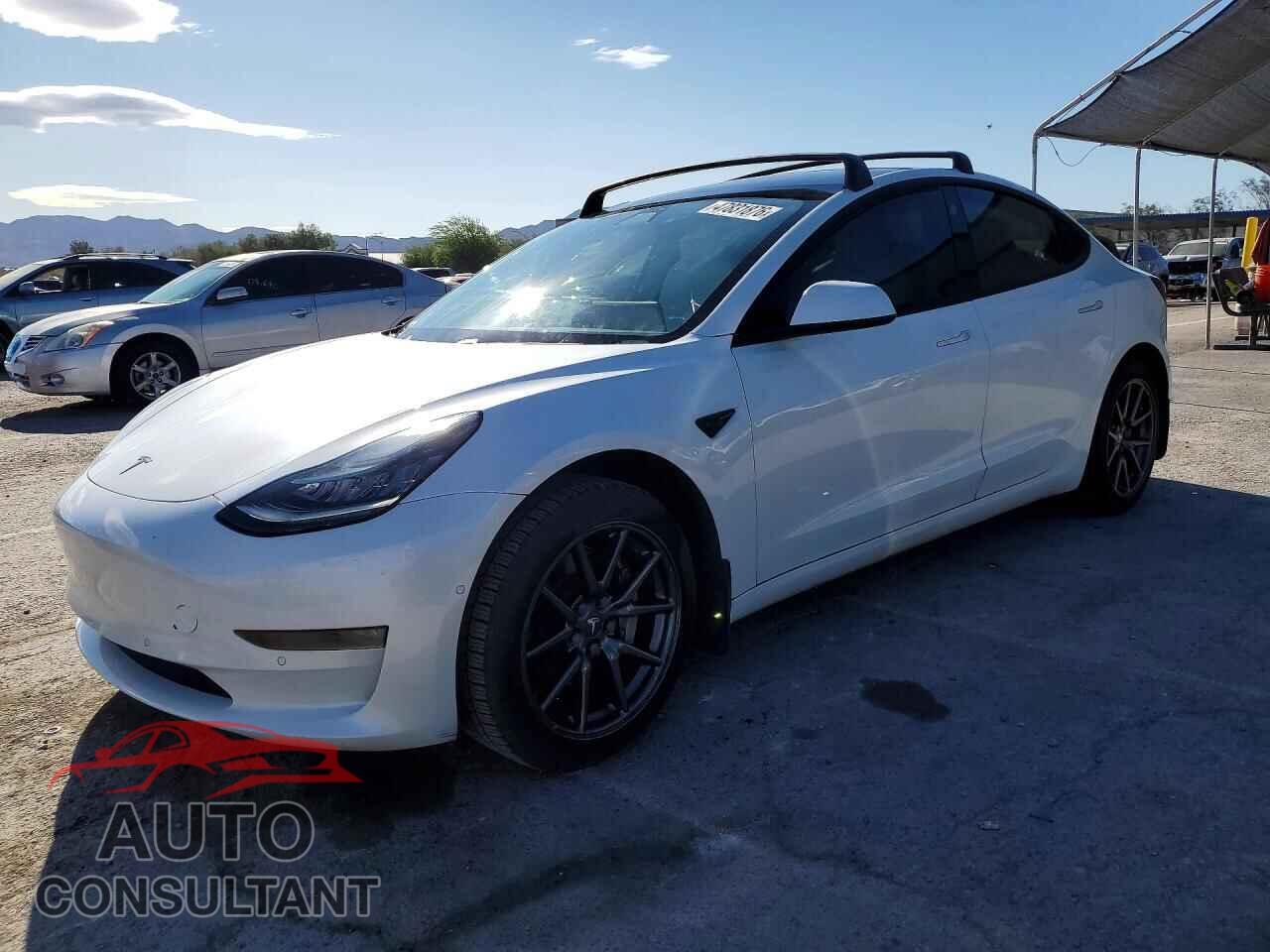 TESLA MODEL 3 2019 - 5YJ3E1EA3KF302019