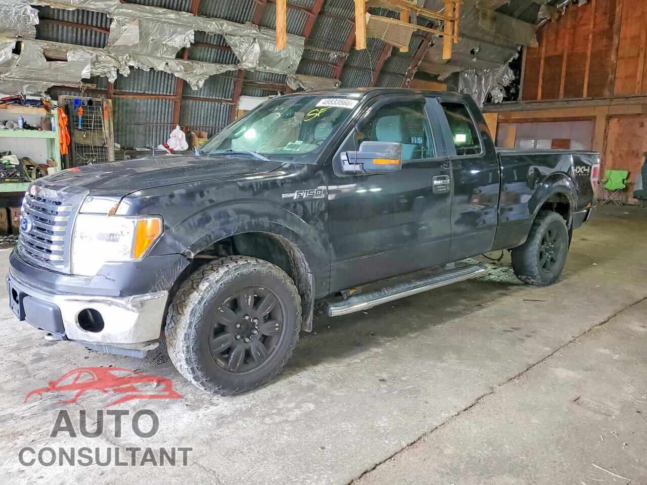 FORD F150 2011 - 1FTFX1EF0BFA16272