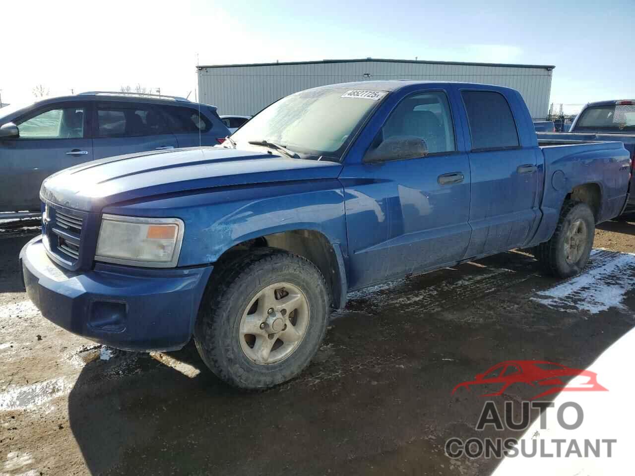 DODGE DAKOTA 2011 - 1D7RW3GK2BS573879