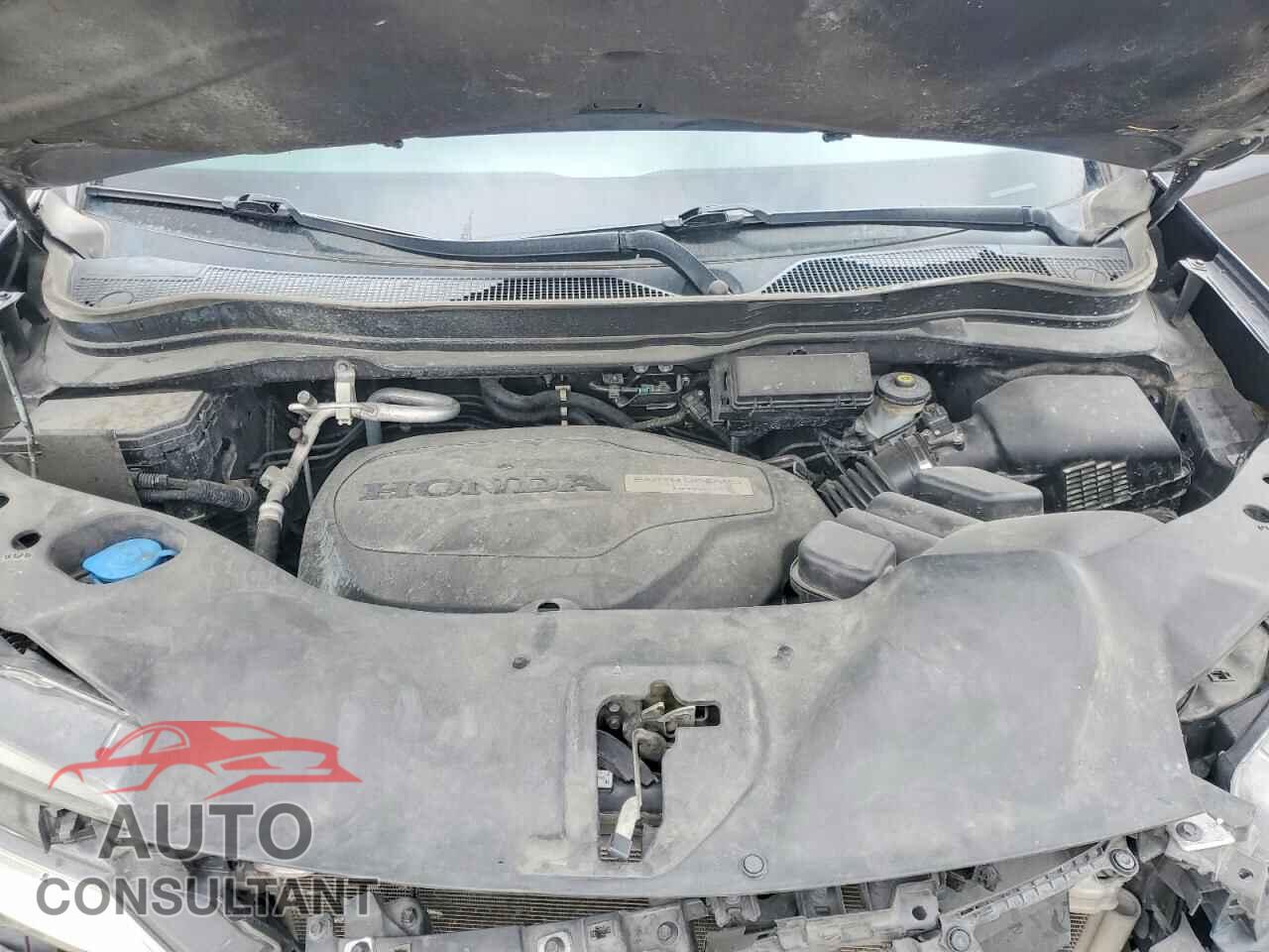 HONDA PILOT 2019 - 5FNYF5H60KB032572