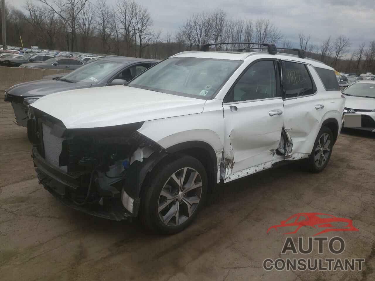 HYUNDAI PALISADE 2022 - KM8R4DHE7NU419090