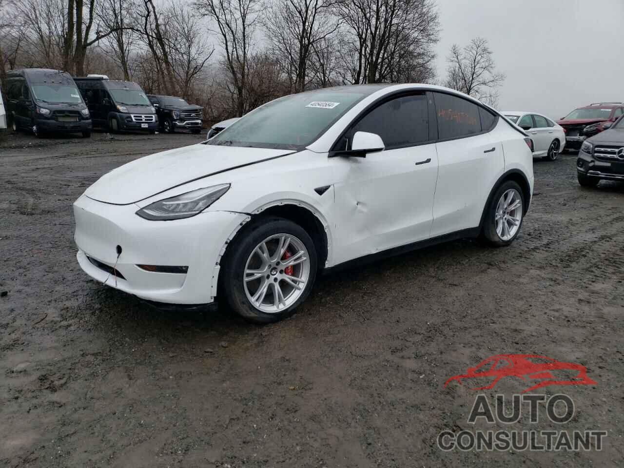 TESLA MODEL Y 2021 - 5YJYGDEE8MF305831