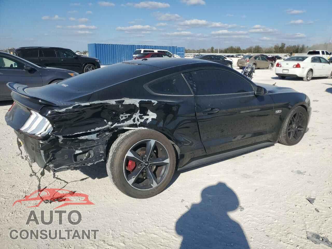 FORD MUSTANG 2019 - 1FA6P8CF3K5101890