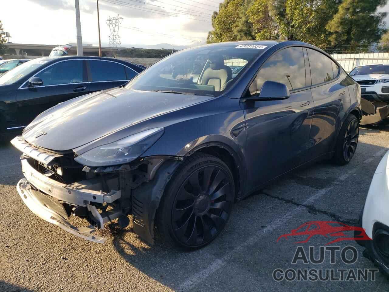 TESLA MODEL Y 2022 - 7SAYGDEFXNF457221