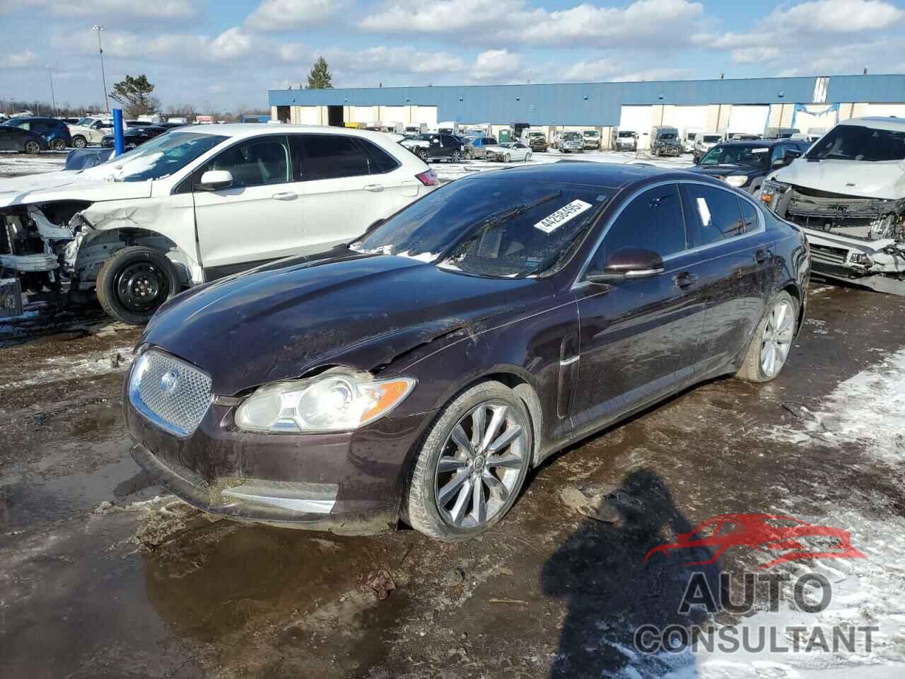 JAGUAR XF 2011 - SAJWA0GB4BLR97313