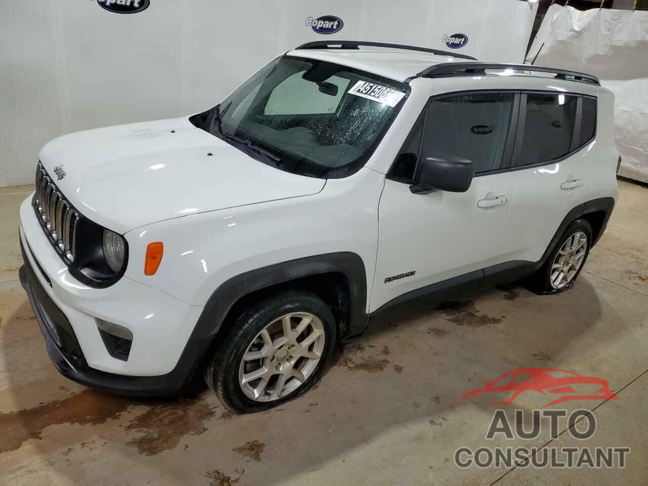 JEEP RENEGADE 2020 - ZACNJAA1XLPM05908