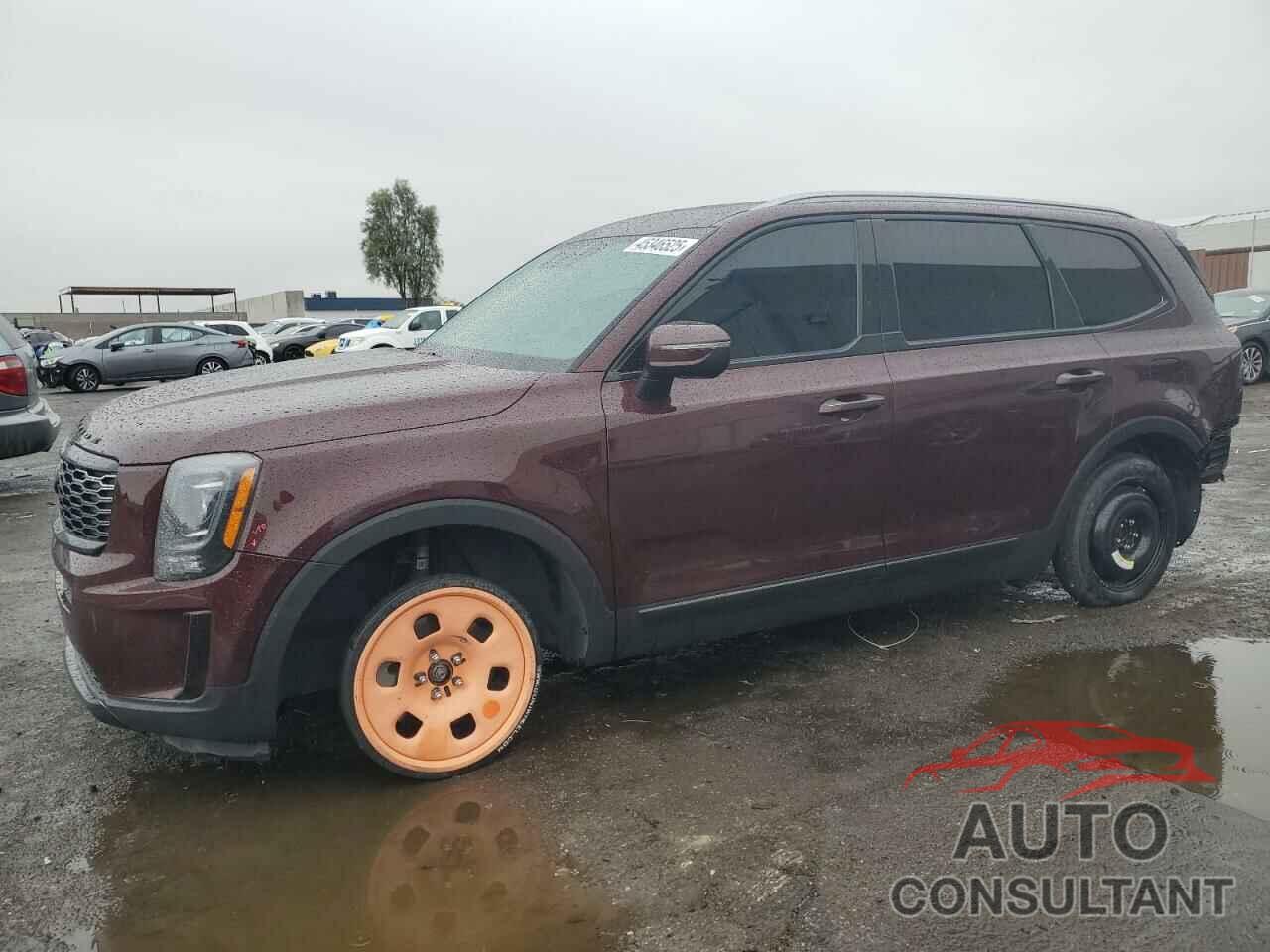 KIA TELLURIDE 2020 - 5XYP64HC5LG013960