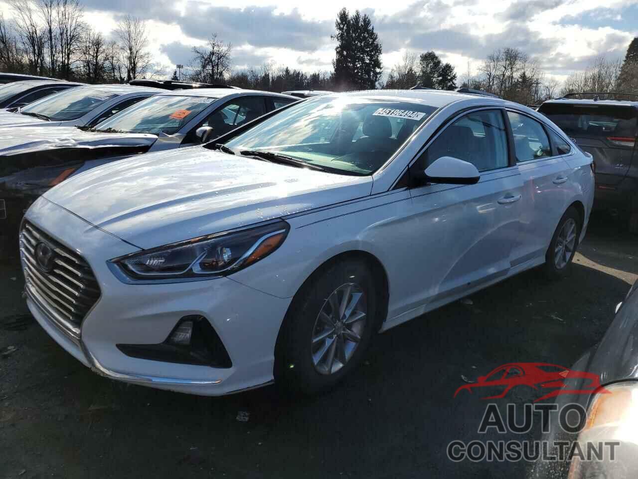 HYUNDAI SONATA 2018 - 5NPE24AF5JH667290