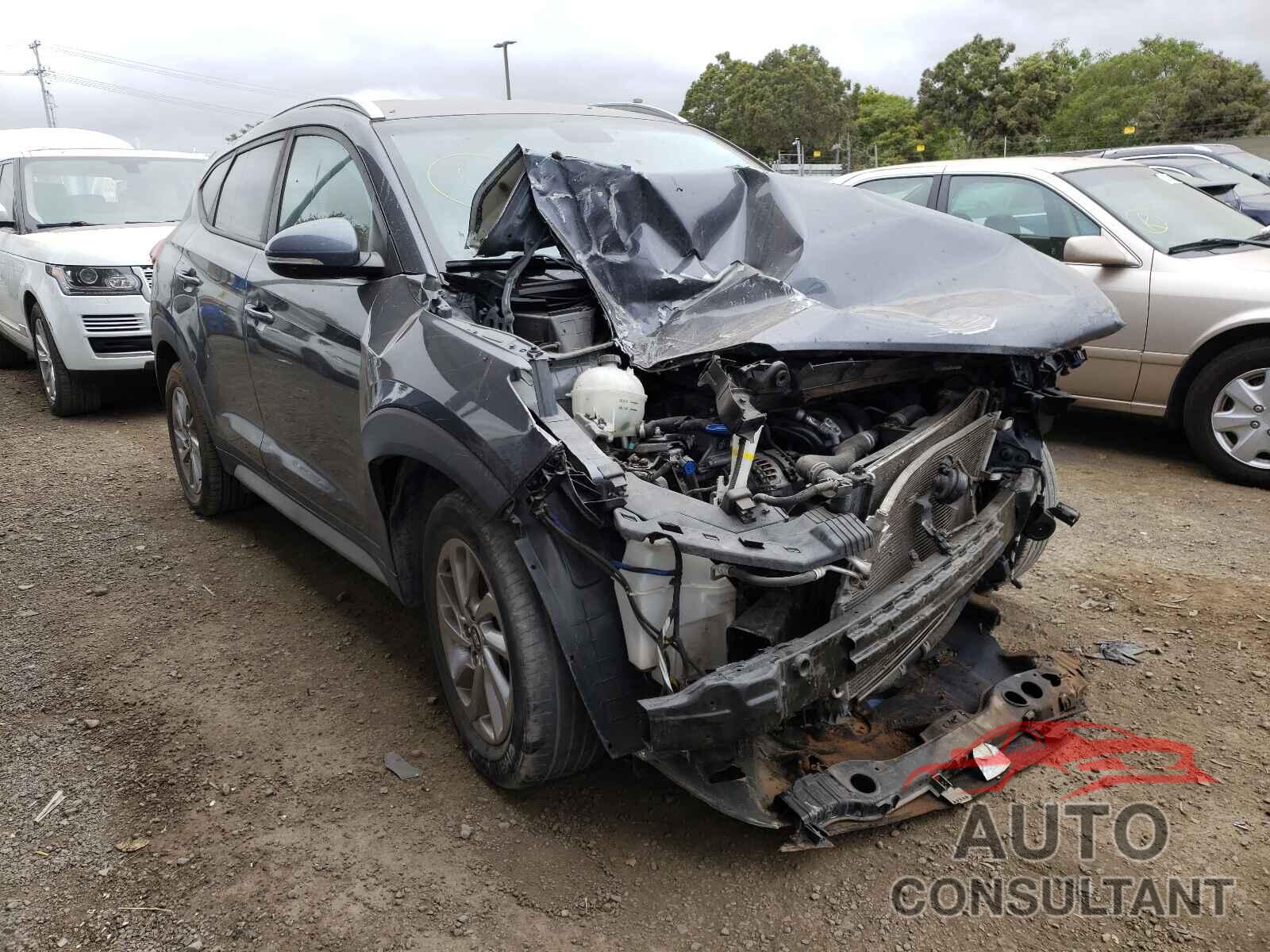 HYUNDAI TUCSON 2017 - KM8J33A47HU514586