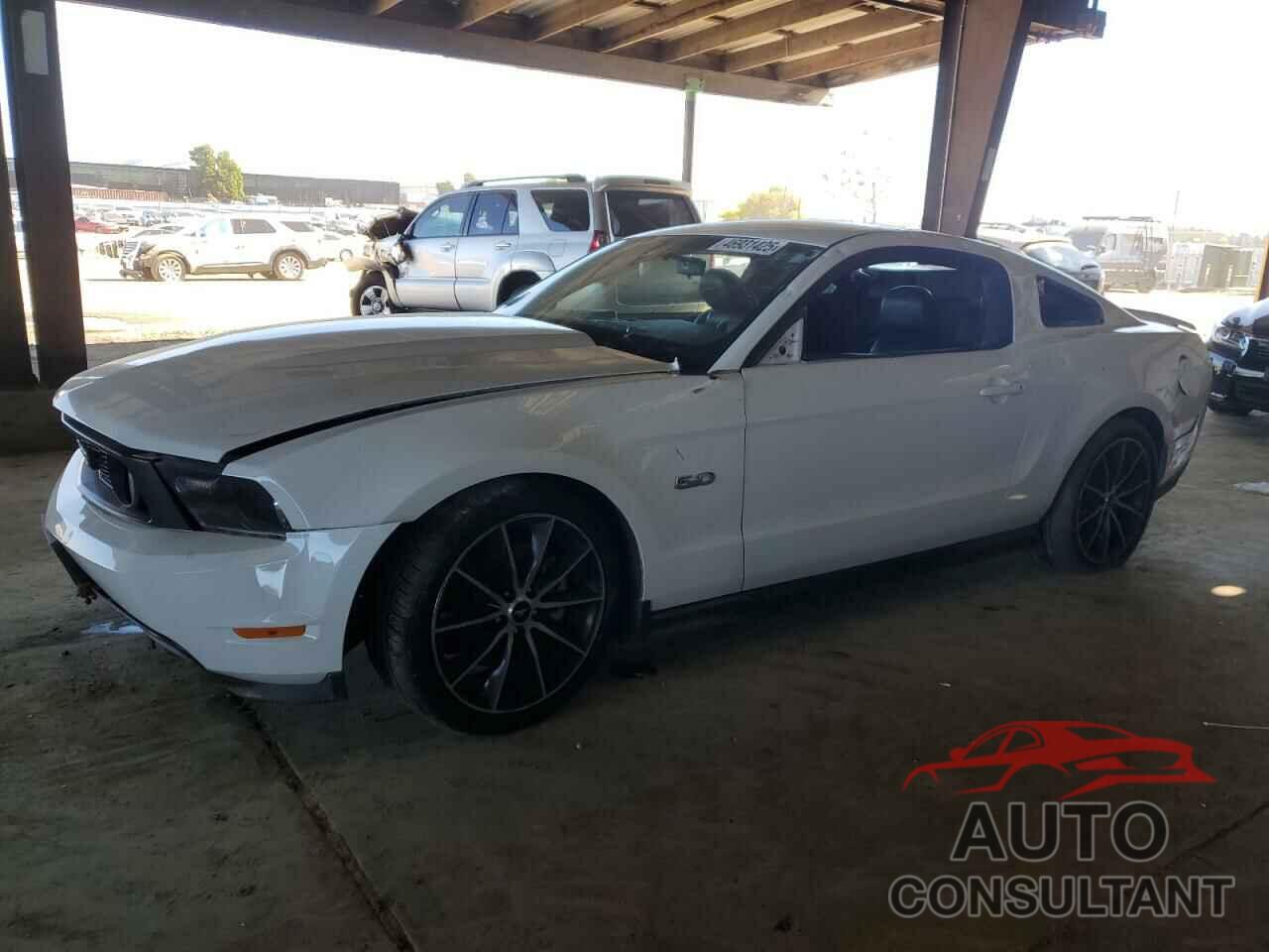 FORD MUSTANG 2011 - 1ZVBP8CF1B5160510
