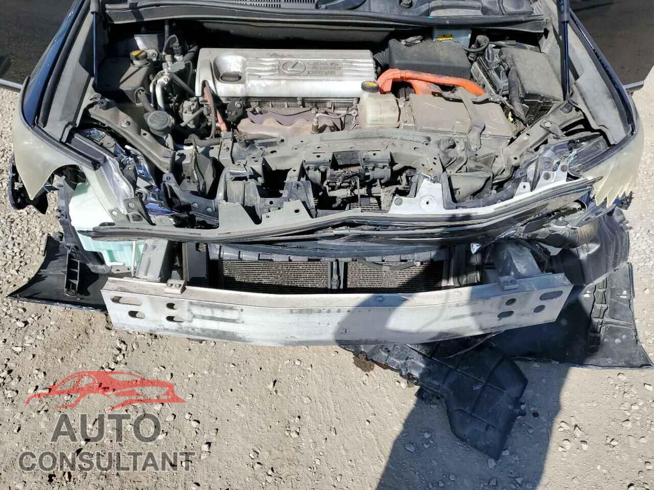 LEXUS HS 2010 - JTHBB1BA4A2019184