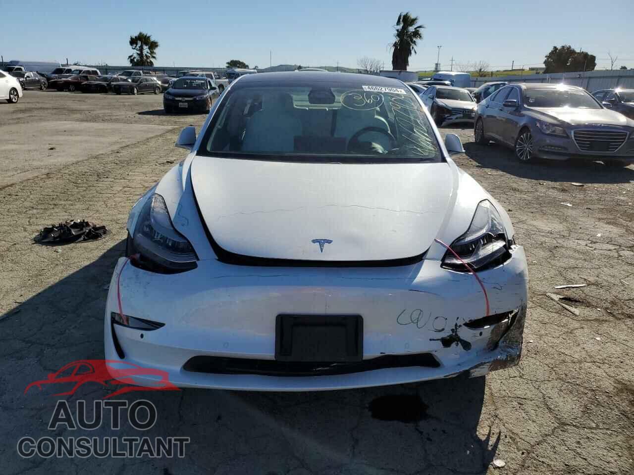 TESLA MODEL 3 2019 - 5YJ3E1EB1KF517780