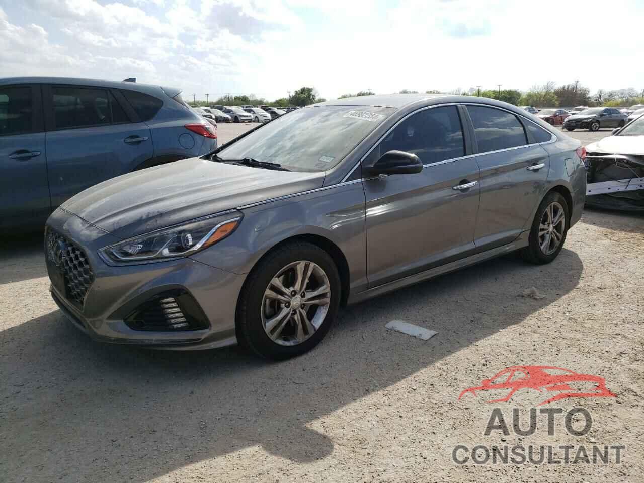 HYUNDAI SONATA 2019 - 5NPE34AF6KH756297