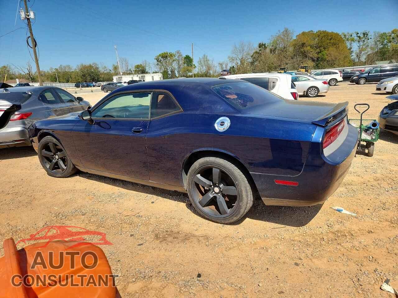 DODGE CHALLENGER 2013 - 2C3CDYBTXDH695293