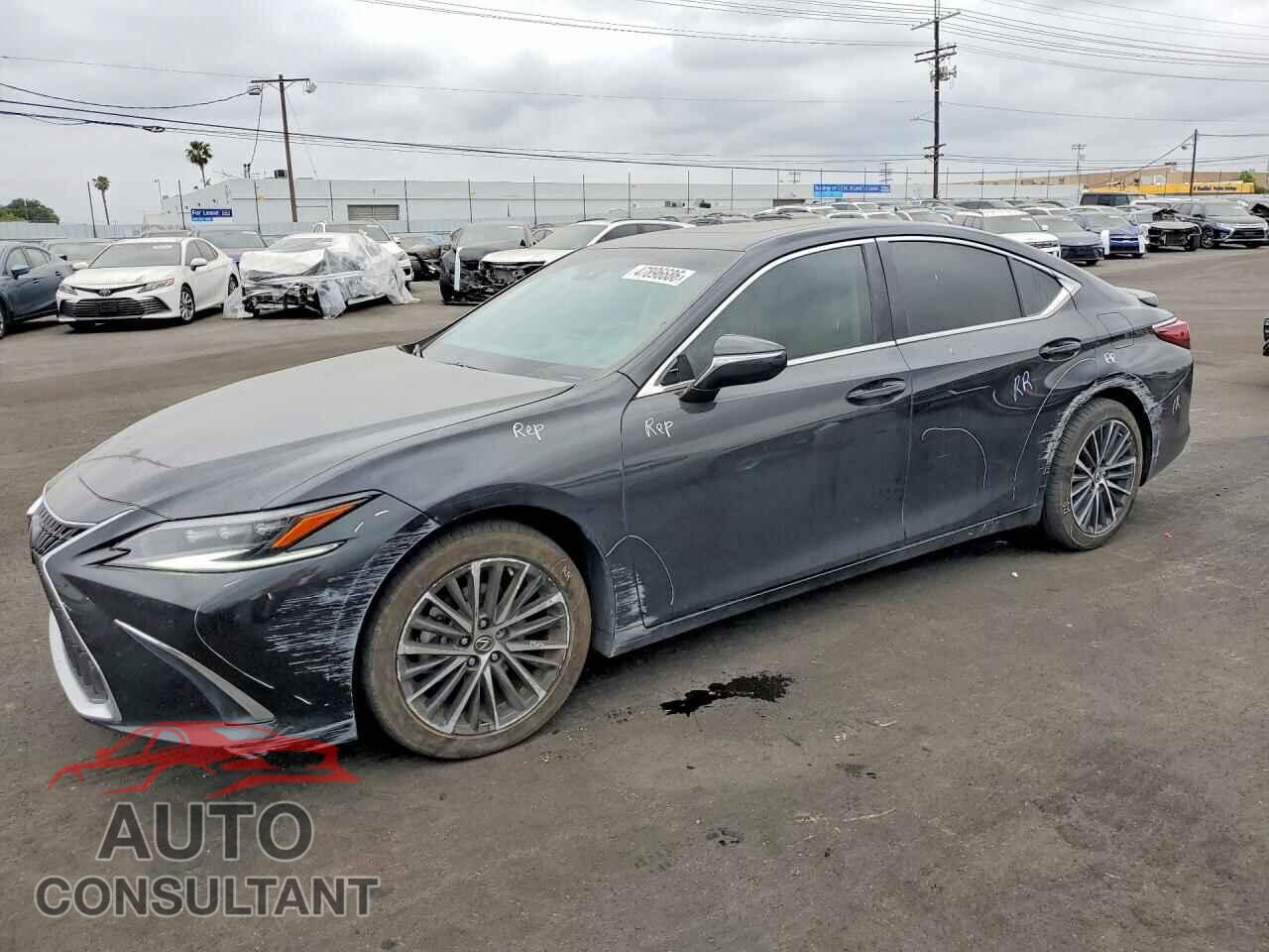 LEXUS ES300 2024 - 58ADA1C19RU045358