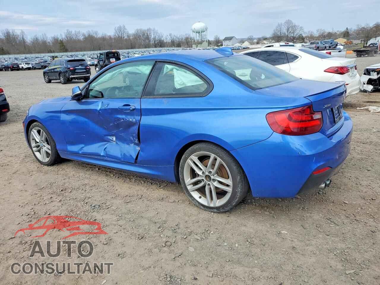 BMW 2 SERIES 2015 - WBA1G9C59FVX96669