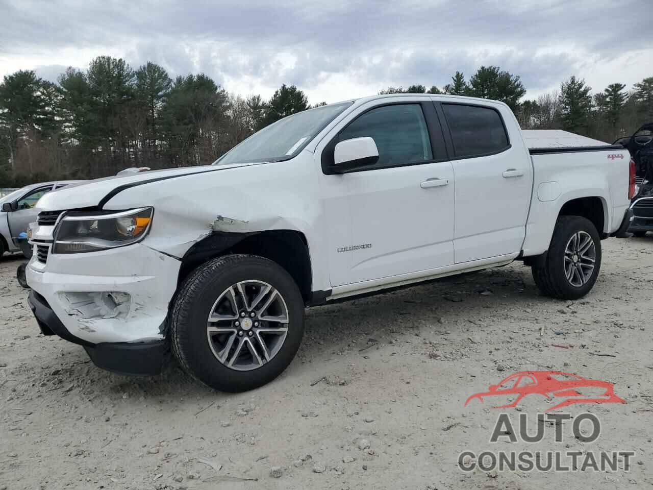 CHEVROLET COLORADO 2019 - 1GCGTBEN5K1129290