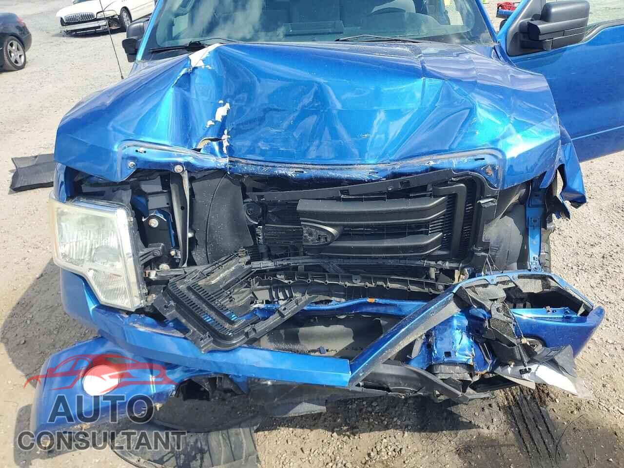 FORD F150 2013 - 1FTFX1CF9DFD98842