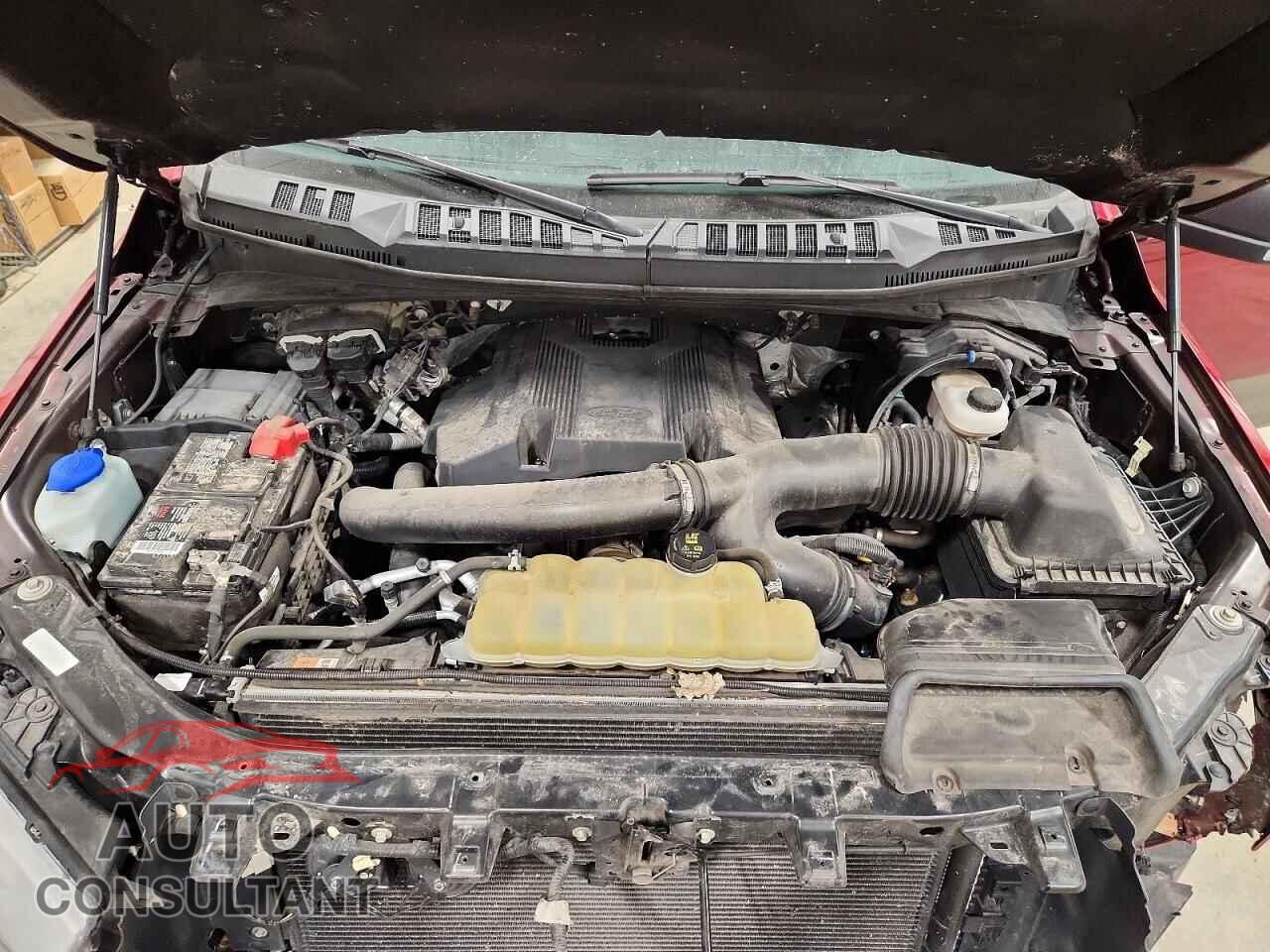 FORD F150 2019 - 1FTEW1E48KFC04471