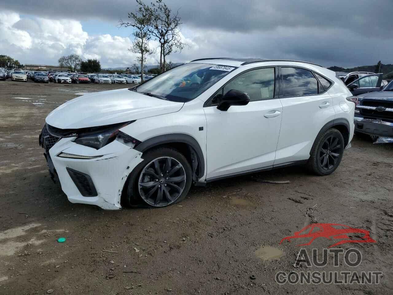 LEXUS NX 2019 - JTJYARBZ6K2123676
