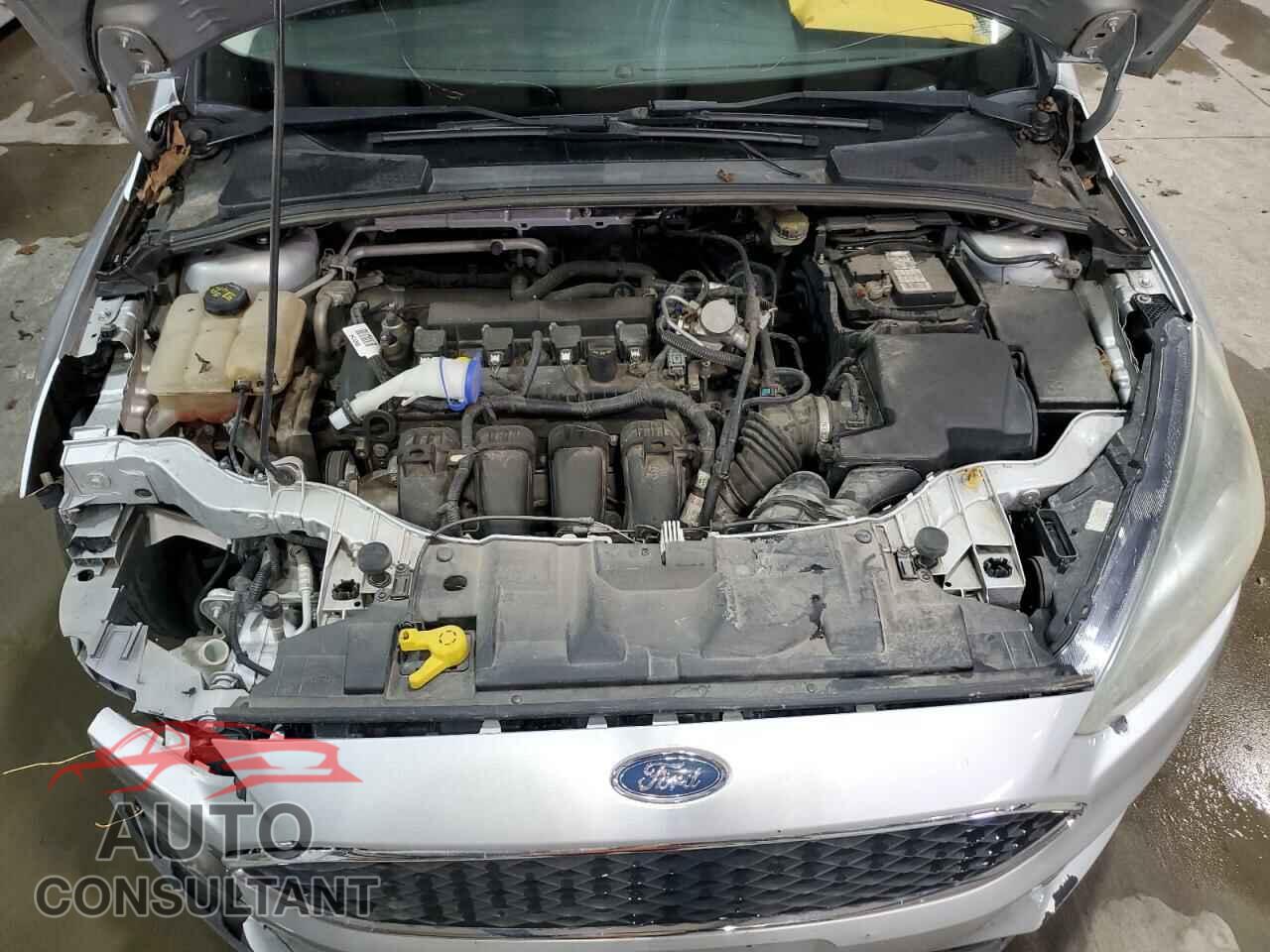 FORD FOCUS 2016 - 1FADP3F26GL339917
