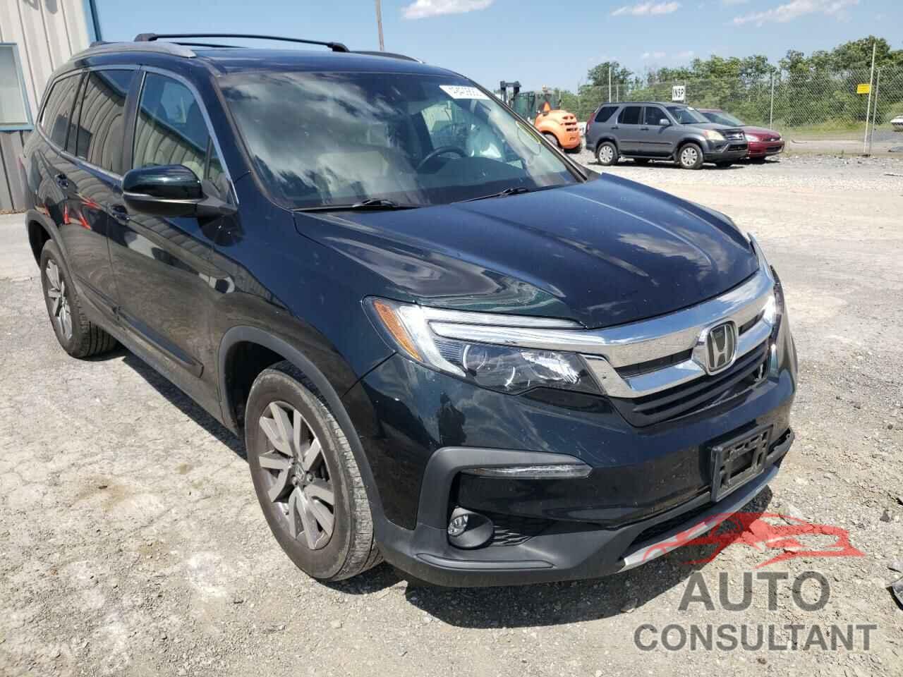 HONDA PILOT 2019 - 5FNYF6H58KB022725