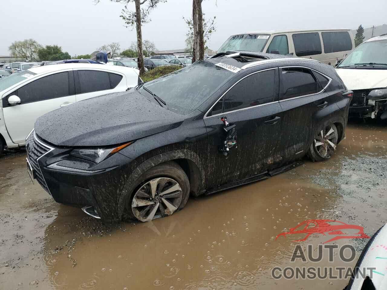 LEXUS NX 2021 - JTJGJRDZ0M2154160