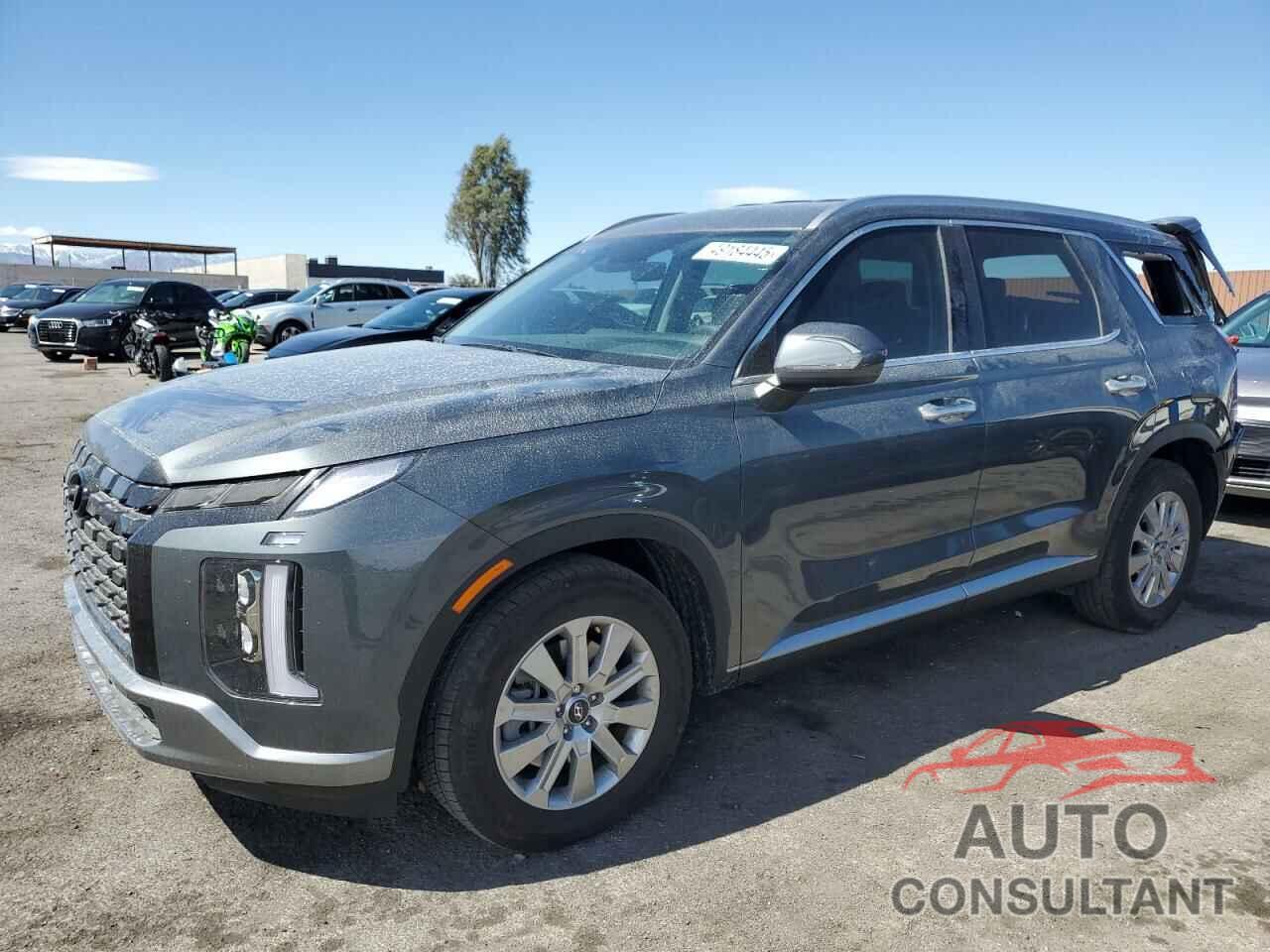 HYUNDAI PALISADE 2025 - KM8R24GE9SU816416