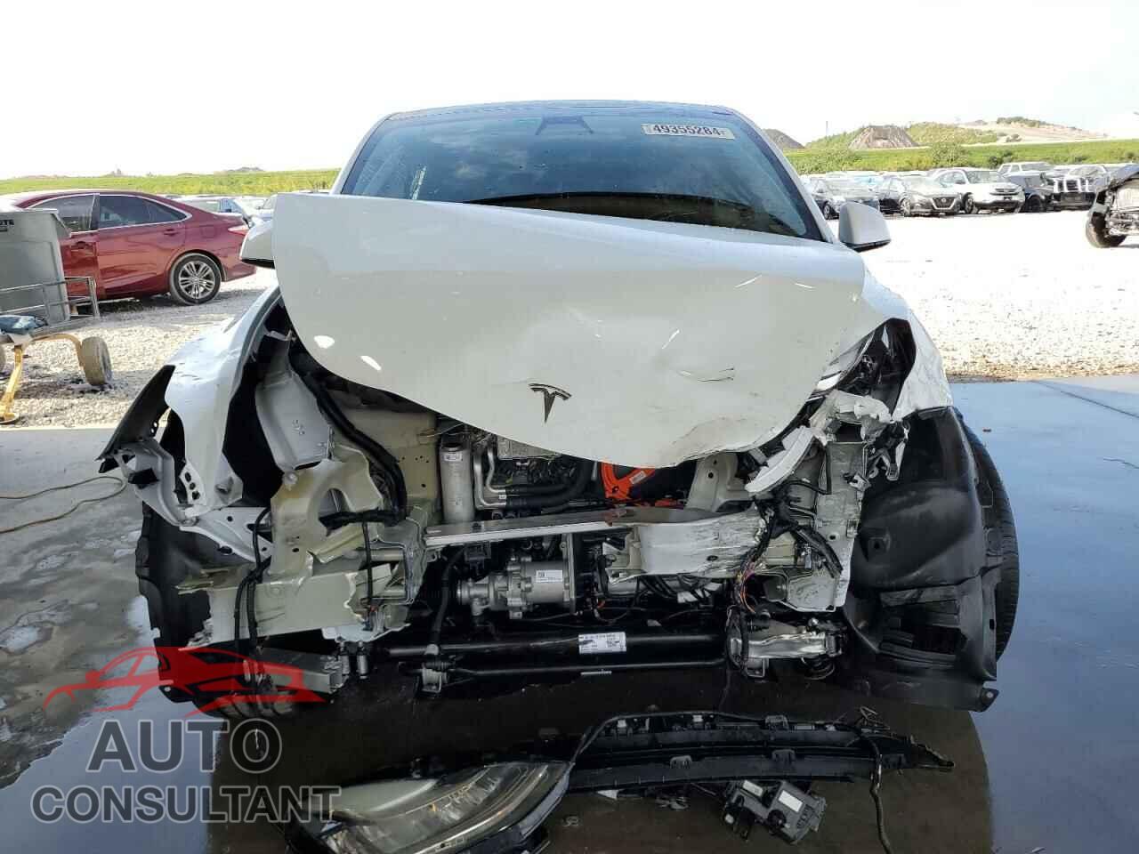 TESLA MODEL Y 2022 - 7SAYGAEE3NF310034