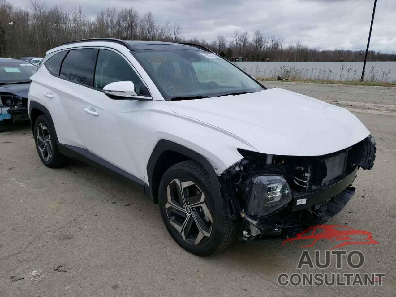 HYUNDAI TUCSON 2022 - 5NMJECAE5NH062759