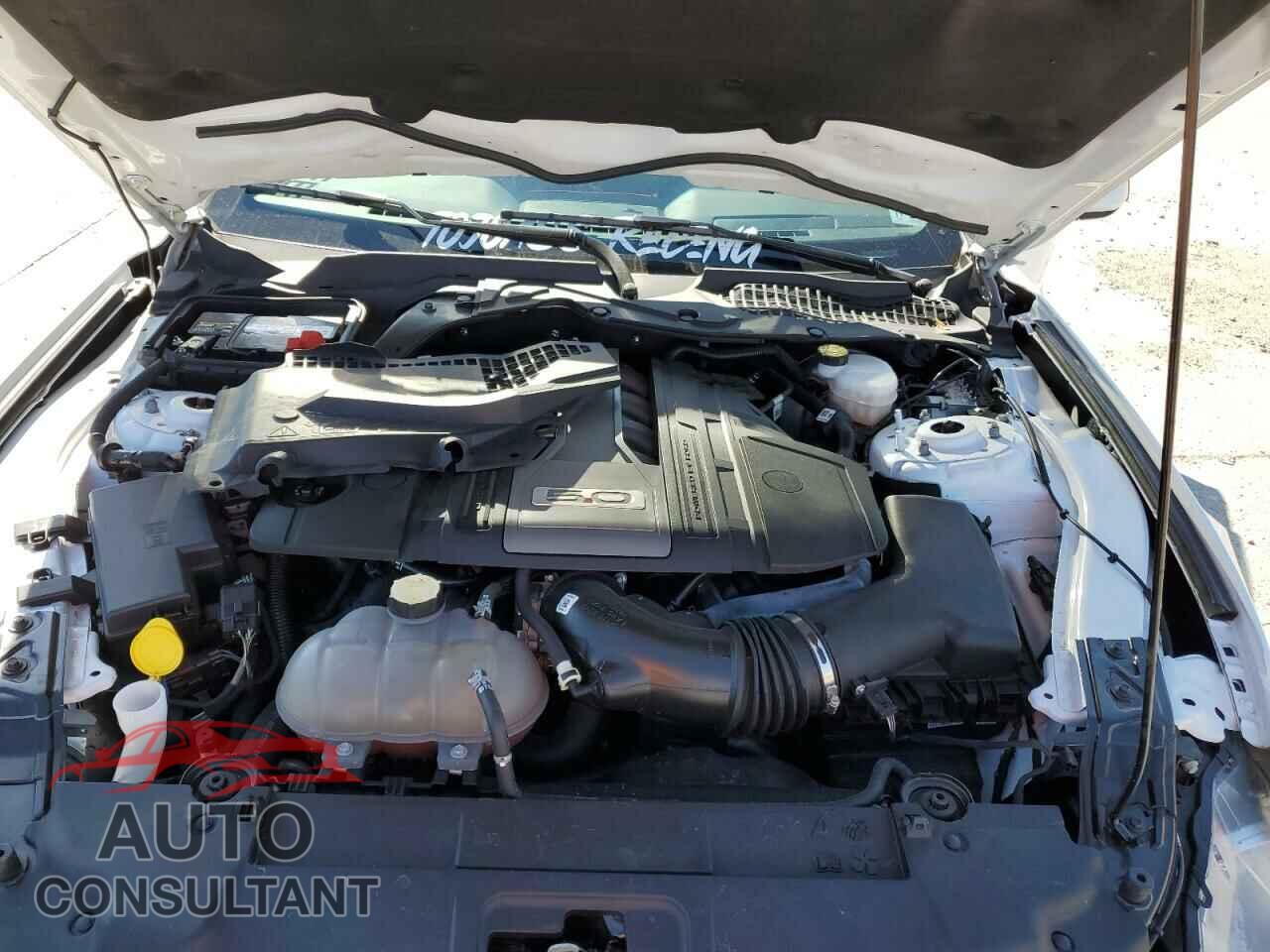 FORD MUSTANG 2019 - 1FA6P8CFXK5201730