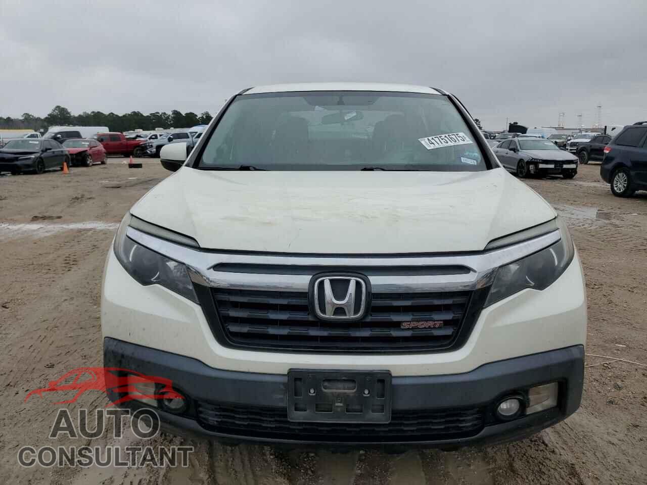 HONDA RIDGELINE 2019 - 5FPYK2F12KB002708