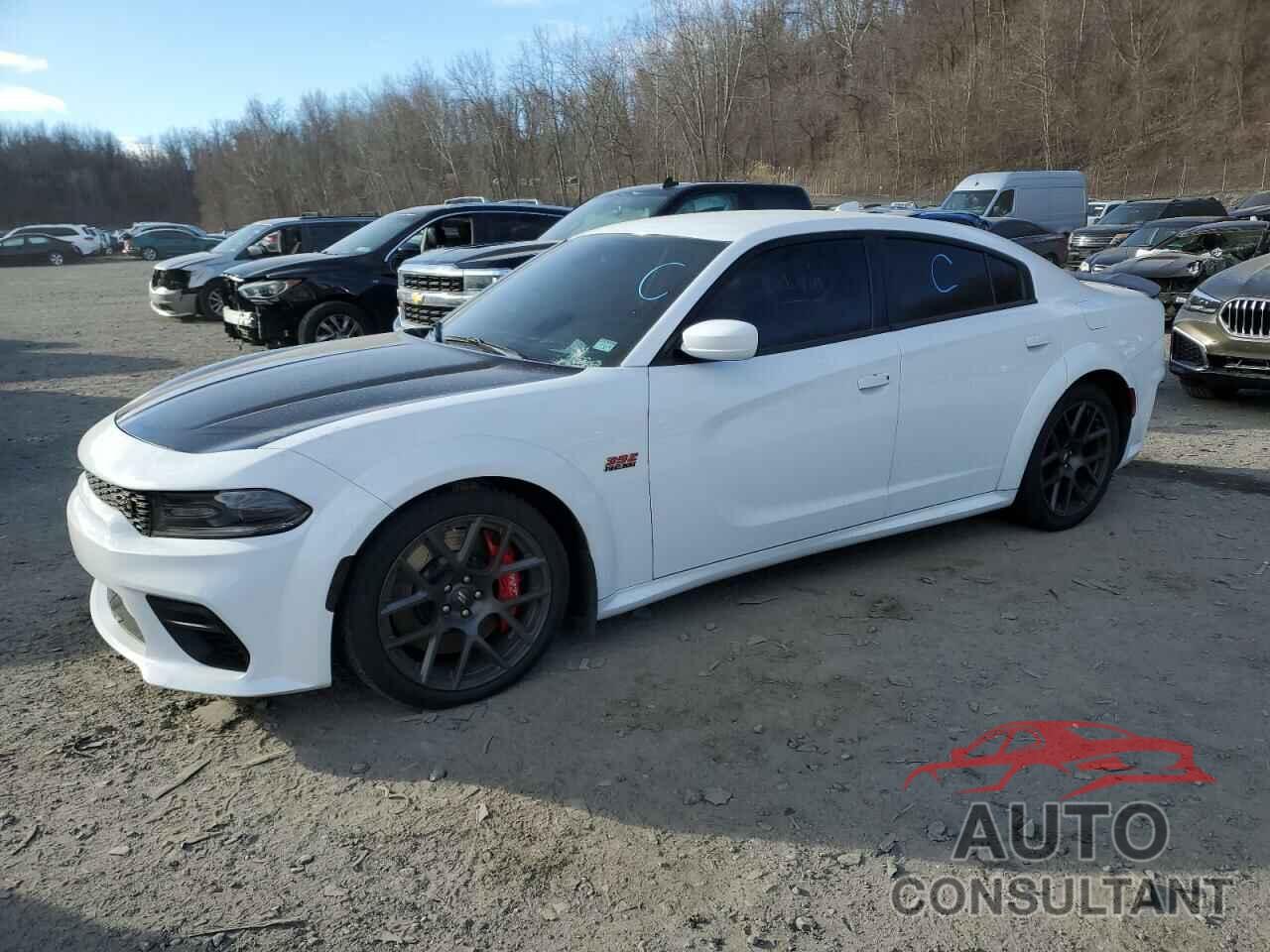 DODGE CHARGER 2021 - 2C3CDXGJ9MH501421