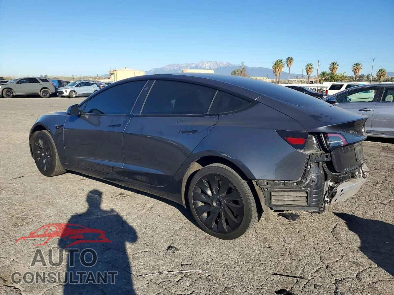 TESLA MODEL 3 2021 - 5YJ3E1EA0MF998163