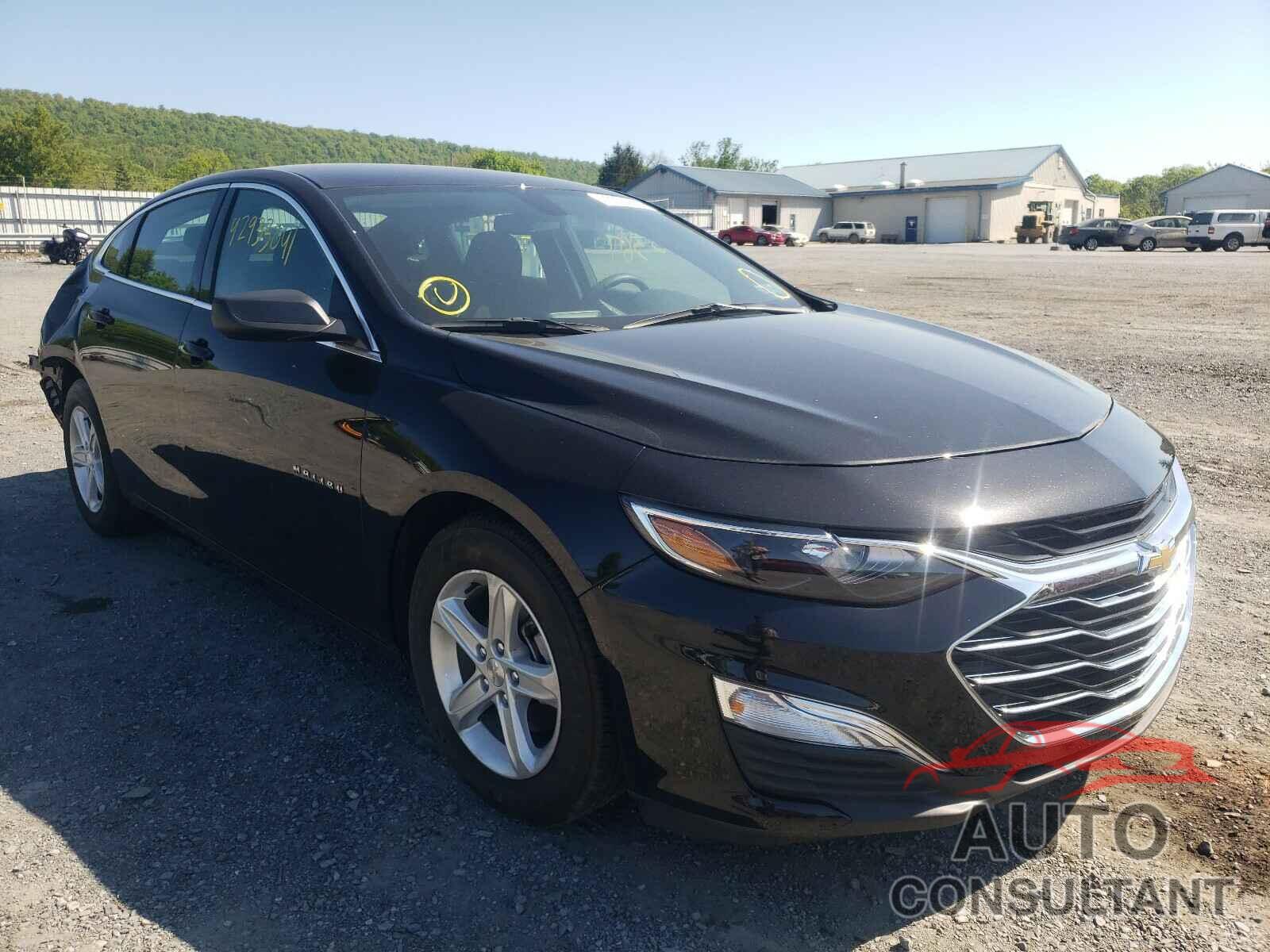 CHEVROLET MALIBU 2019 - 1G1ZB5ST9KF169190