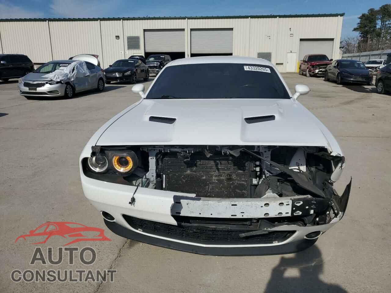 DODGE CHALLENGER 2019 - 2C3CDZAG5KH724089