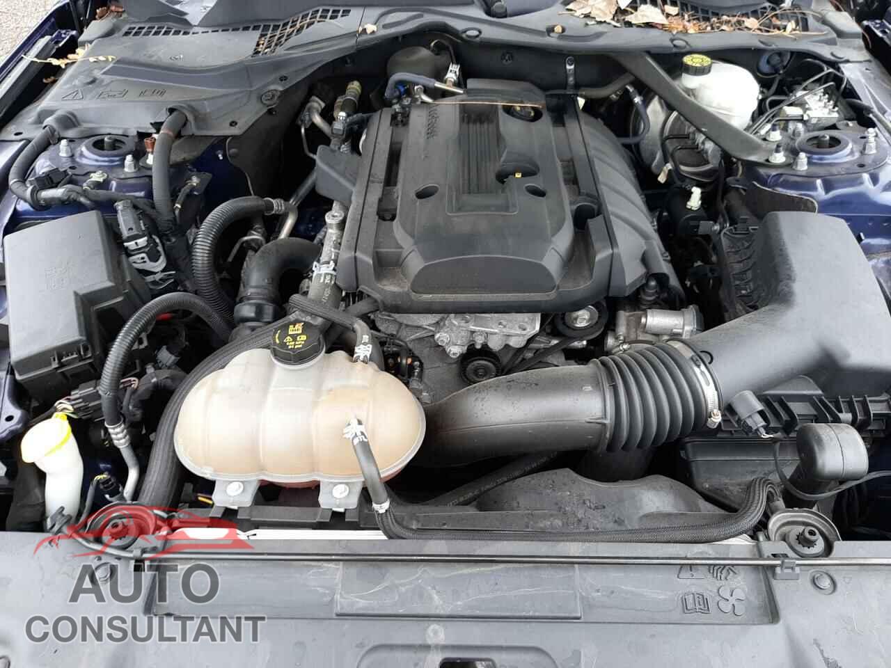 FORD MUSTANG 2019 - 1FATP8UH8K5149081