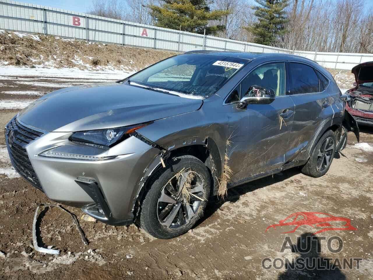 LEXUS NX 2020 - JTJGJRDZ6L5007211