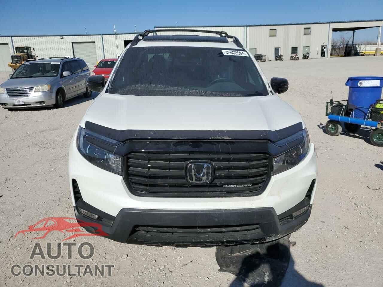 HONDA RIDGELINE 2023 - 5FPYK3F84PB021111