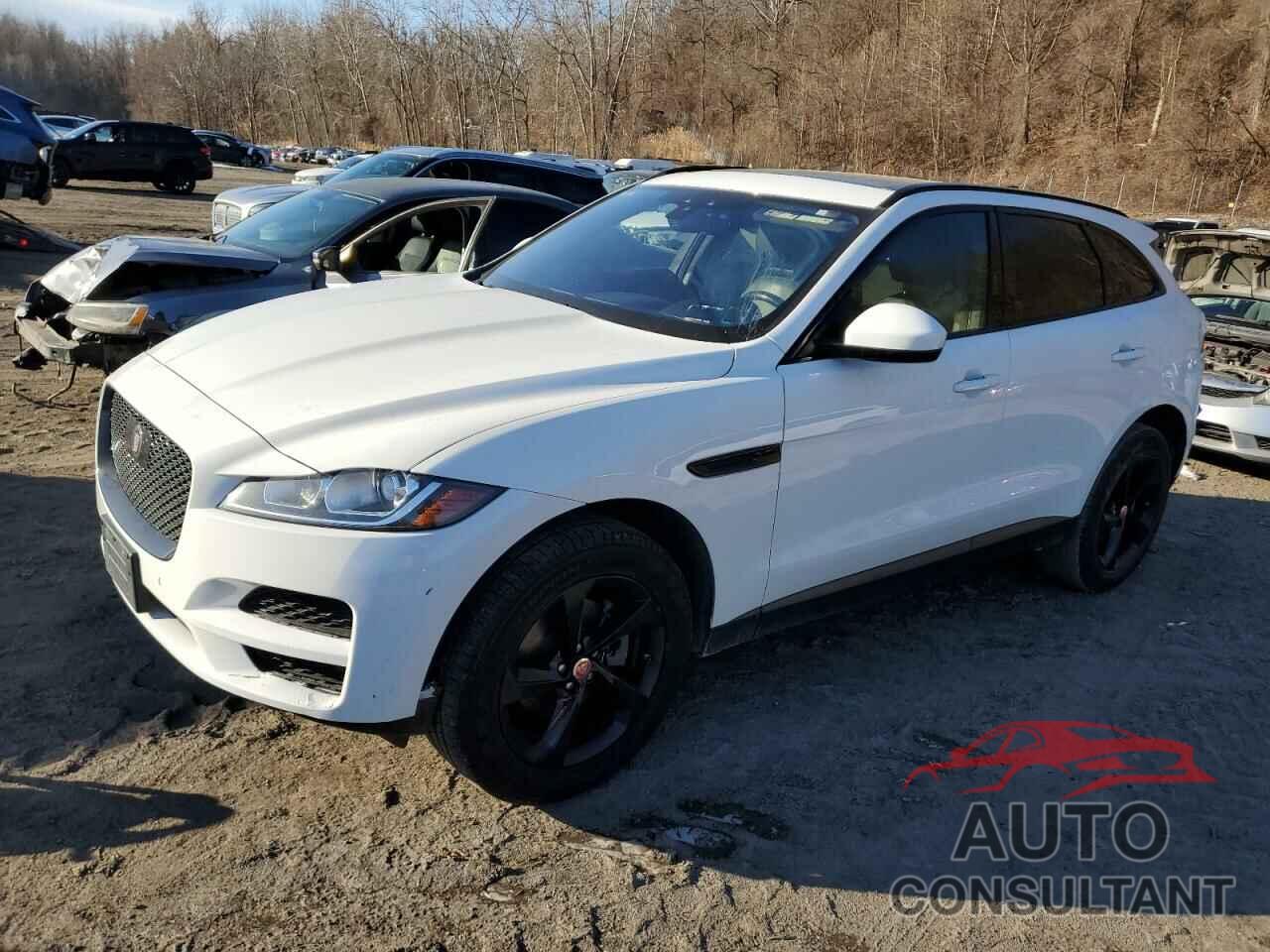 JAGUAR F-PACE 2020 - SADCJ2FX5LA628990