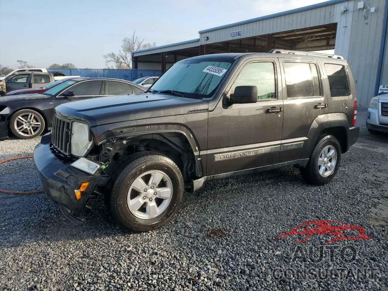JEEP LIBERTY 2010 - 1J4PP2GK2AW181091