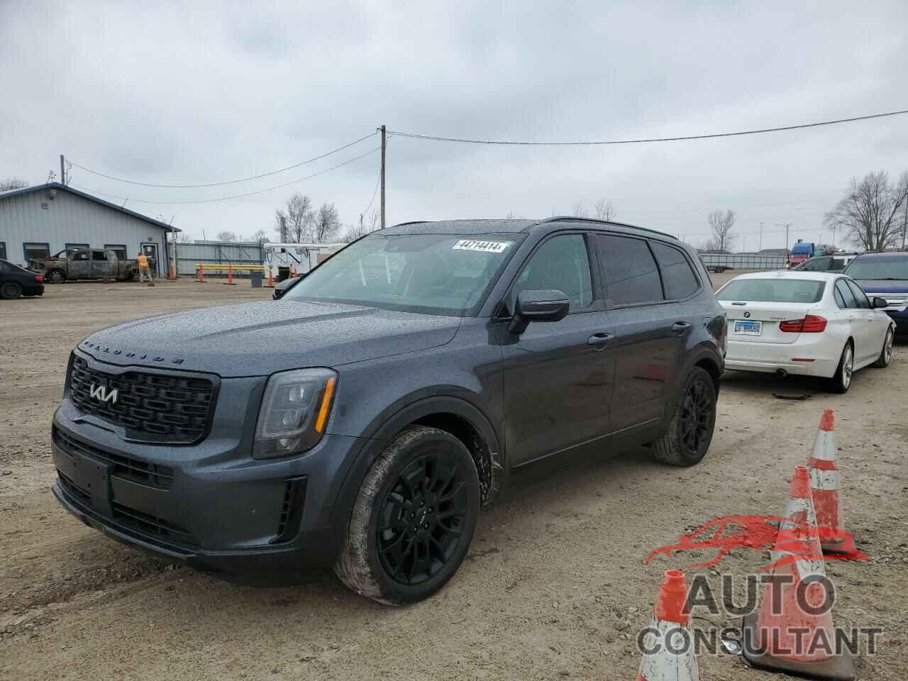 KIA TELLURIDE 2022 - 5XYP3DHC2NG220611