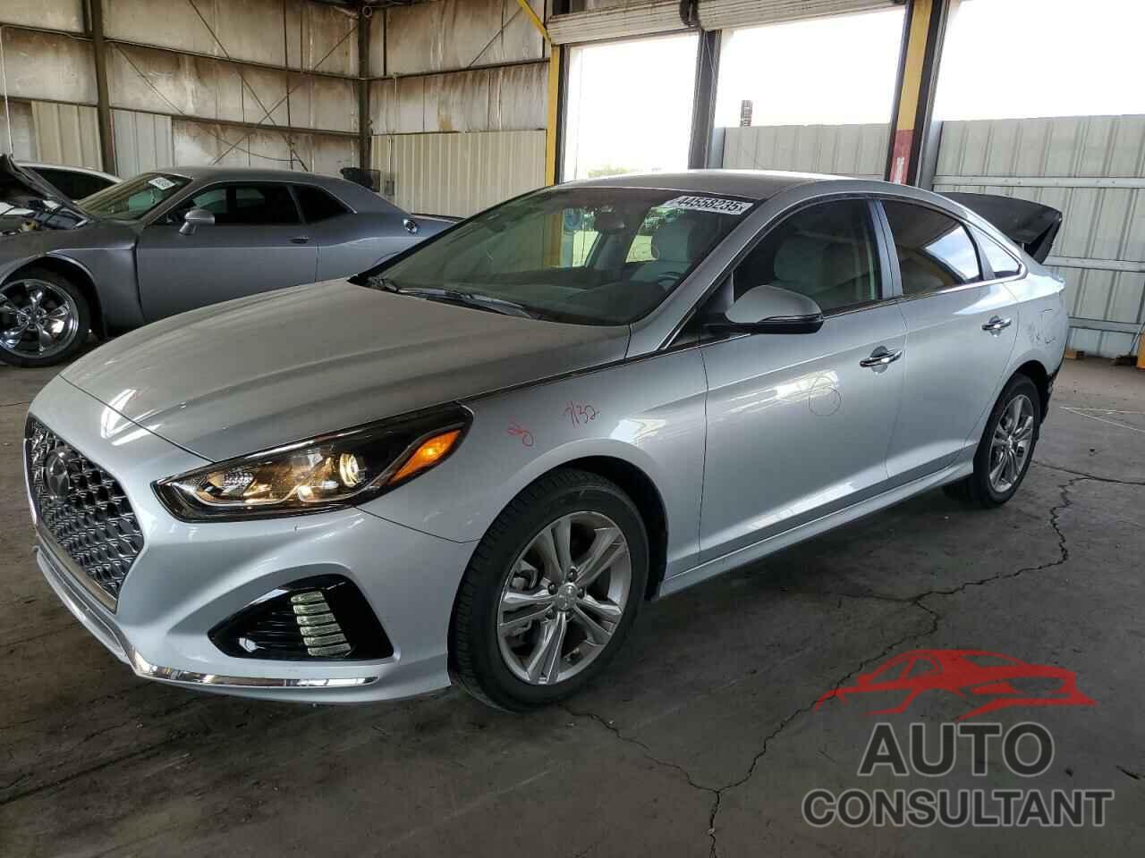 HYUNDAI SONATA 2019 - 5NPE34AF9KH747951