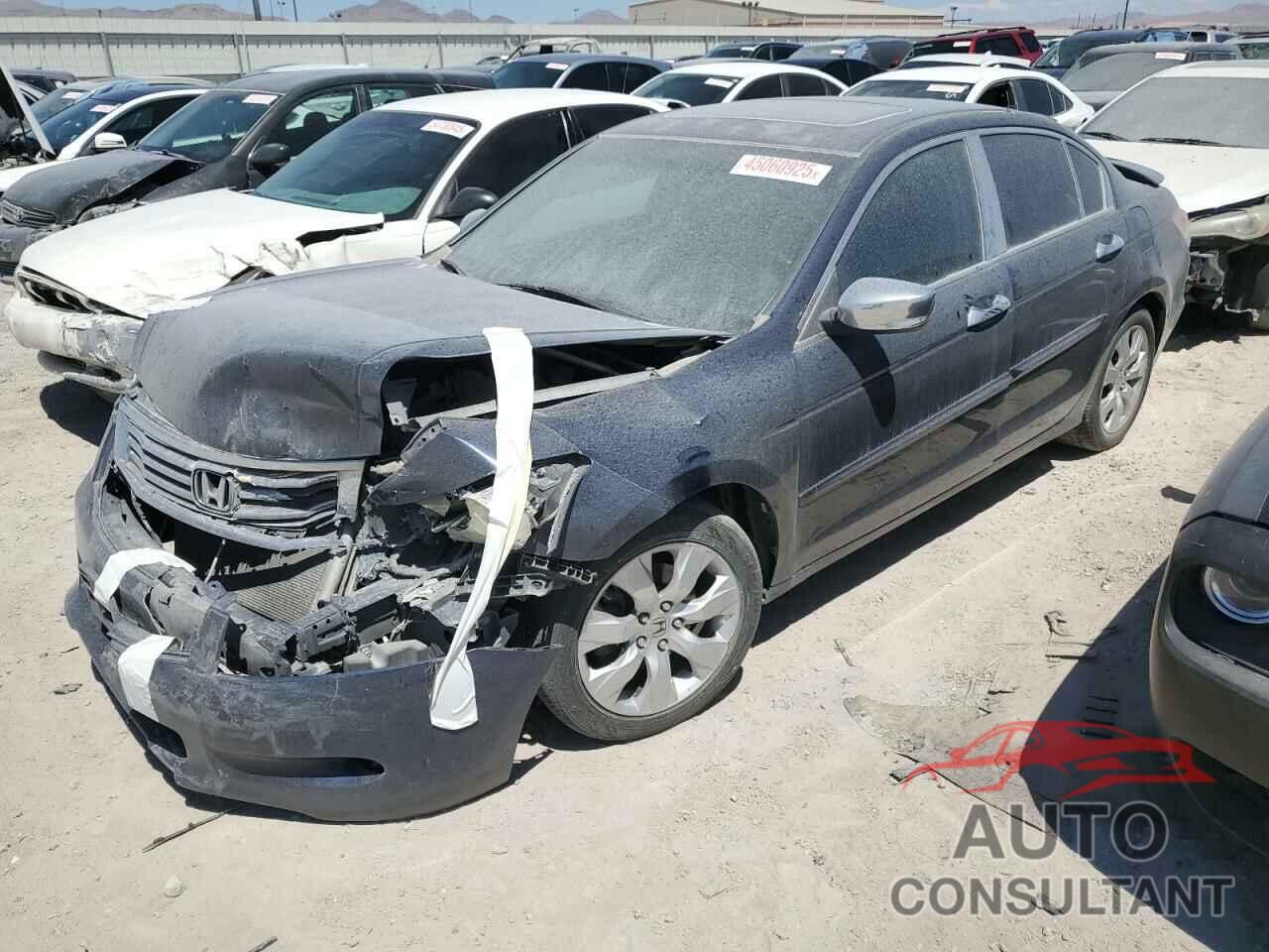 HONDA ACCORD 2009 - 1HGCP36869A036145