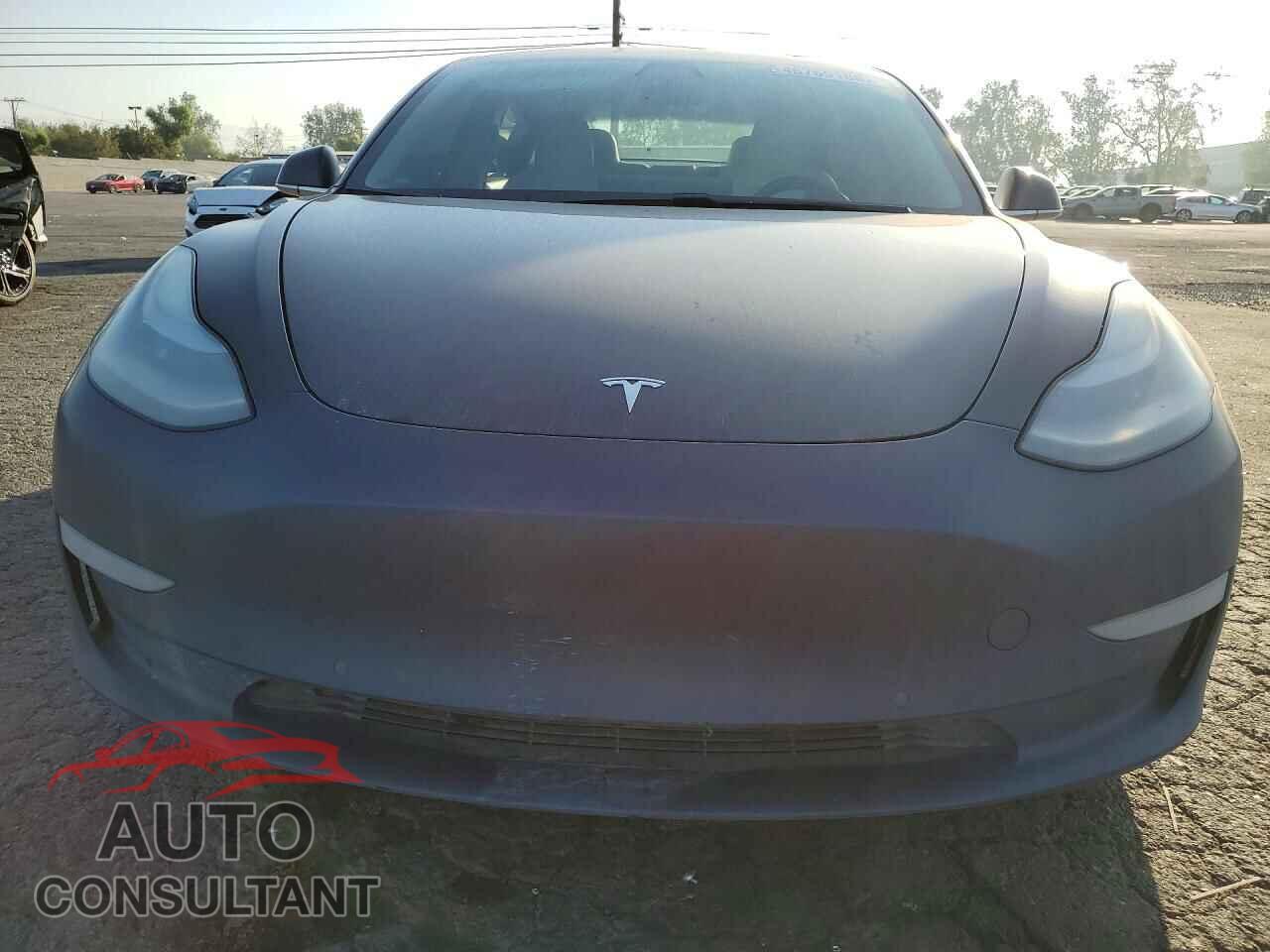 TESLA MODEL 3 2019 - 5YJ3E1EA5KF363033
