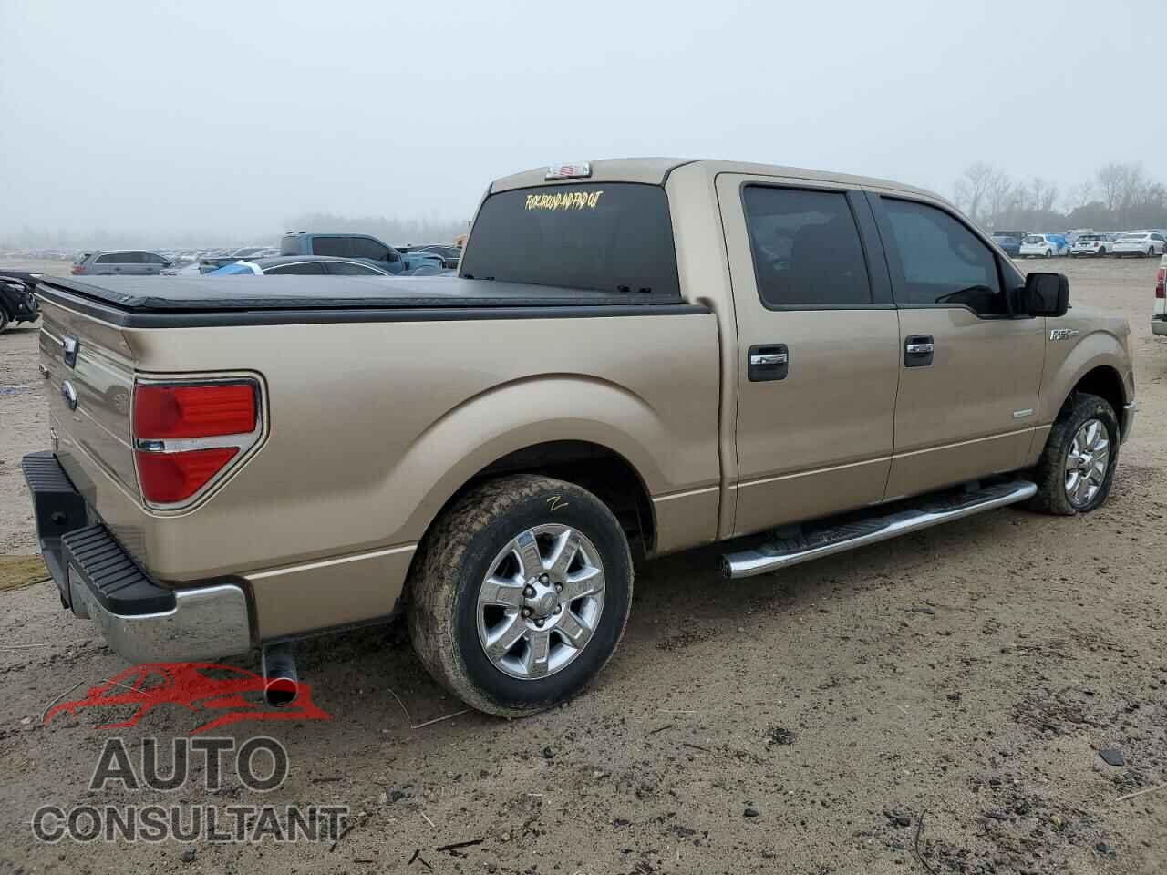 FORD F-150 2013 - 1FTFW1CT2DKD80036