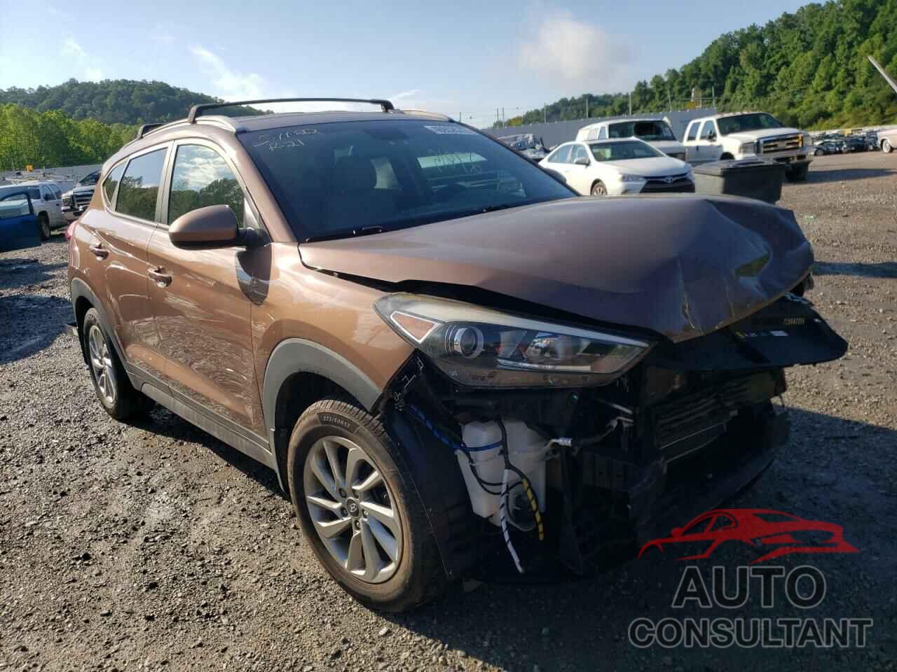 HYUNDAI TUCSON 2016 - KM8J33A46GU198225
