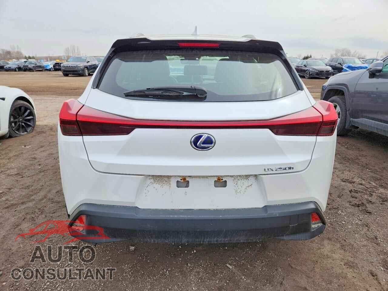 LEXUS UNKNOWN 2021 - JTHP9JBH4M2043813