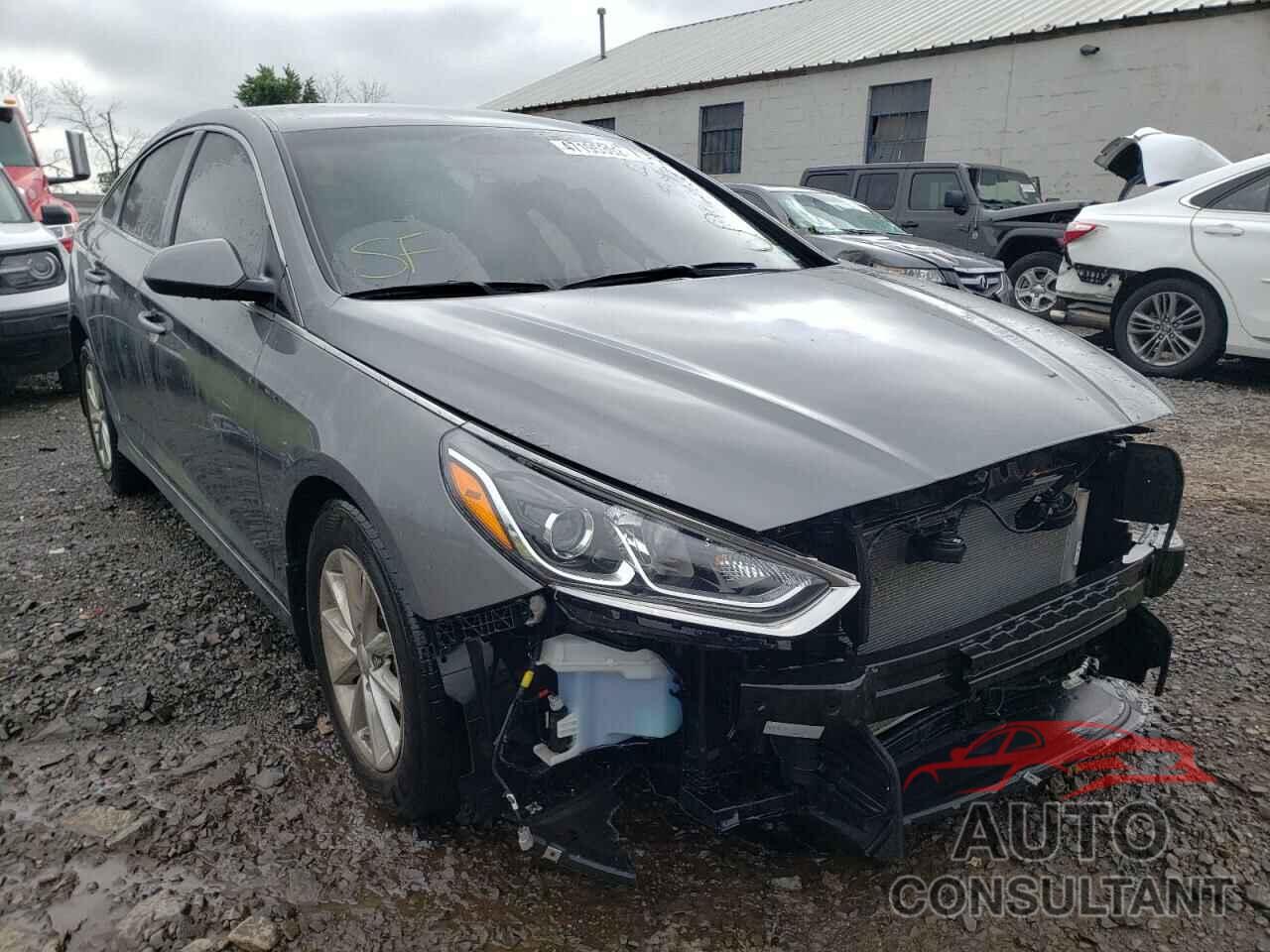 HYUNDAI SONATA 2019 - 5NPE24AF1KH812424